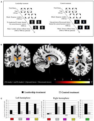 Leadership and credition: Followers' neural response to leaders who are perceived as transformational